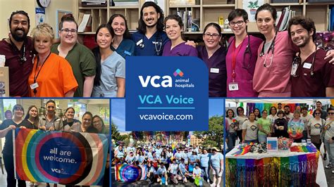 vca gay|VCA celebrates Pride Month .